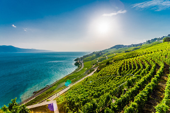 Vineyard Terraces | Lavaux, Switzerland