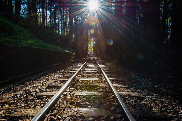 Alishan National Scenic Area, Taiwan