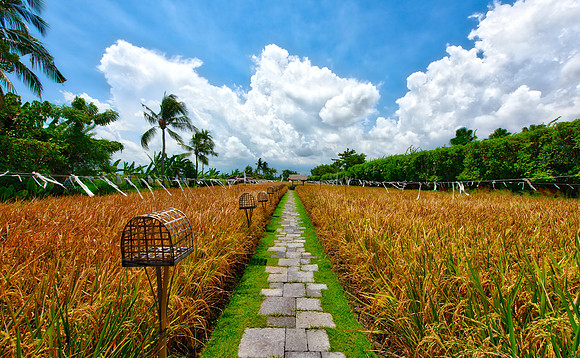 Seminyak | Bali, Indonesia