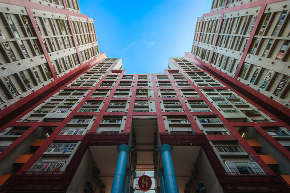 Lotus Garden | Ngau Tau Kok, Hong Kong